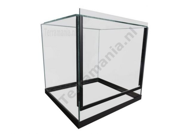 30x30x30 cm Insecten / spinnen Terrarium (glas) - Terramania - Terramania.nl