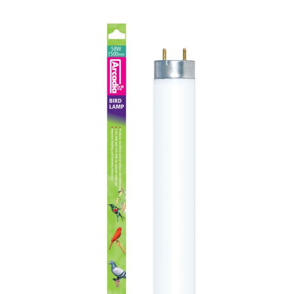 ontrouw Overname telegram Vogellampen met UVB & daglicht kopen? Arcadia Vogellamp T8 UV lamp [150 cm  / 58 Watt] | CFB58 | 830857000560 - Terramania.nl