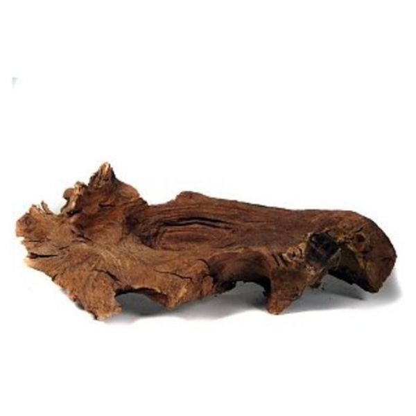 appel Belofte lexicon Stronken hout voor het terrarium kopen? Driftwood XL | A4080025 |  8715897031137 - Terramania.nl