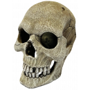 Repto Human Skull XL, R5100160, 8715897339882