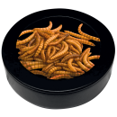 REPTO DECO WORM DISH