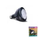 Arcadia Jungle Dawn LED Spotlight 40 Watt kopen? | RAJDS40 | 844046011626