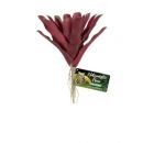 Kunstplanten voor het terrarium kopen? ZooMed Fireball Bromeliad kopen | BU-60 | 097612180602