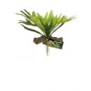 Kunstplanten voor het terrarium kopen? ZooMed Staghorn Fern | BU-65 | 097612180657