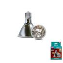 Infrarood lamp kopen? - Arcadia Deep Heat Projector 80 Watt | RARHP80 | 5060127655458