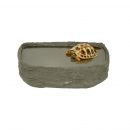 Tortoise Pool, Medium