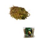 Levend sphagnum mos kopen voor het terrarium? HabiStat Sphagnum Moss Small, 250g | HSMS250 | 5027407013544