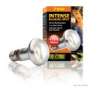 Intense Basking Spot lamp - 75 Watt