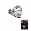 Warmtelamp nodig? Arcadia Halogen Basking Spot (E27) 50 Watt kopen? | RSHA50E27 | 844046003836