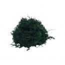 Dragon Green Sphagnum Moss 5L, 4038501013225, NM-64