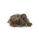 Dragon Sphagnum Moss, Mini-baal, 1,5 Liter, 4038501009891, NM-60