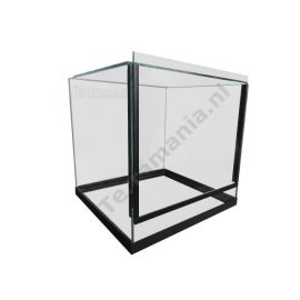 30x30x30 cm - Insecten / spinnen Terrarium (glas) - Terramania