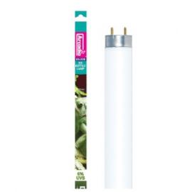 UV TL-lamp kopen voor het terrarium? D3 6% Forest D3 reptile lamp (T8) - 38 Cm / 14 Watt | RFD314 | 844046005021