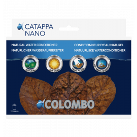 Catappa bladeren 8-10 cm, 10 stuks