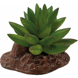 Repto Aloes, Deco plant, 8715897339646, R5100040