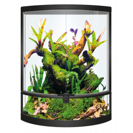 56x28x64 cm Terra Half rond, glas terrarium