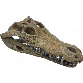 Repto Deco Crocodile Large, 8715897351228, R5100360