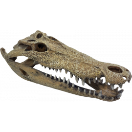 Repto Deco Crocodile XXL, 8715897351235, R5100365