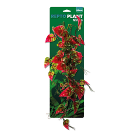 VINES PINK/GREEN SYNGONIUM 60CM
