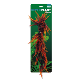 VINES ORANGE FERN 60CM