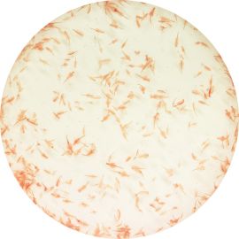 Artemia in zakje, 90 ml 