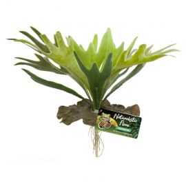 Kunstplanten voor het terrarium kopen? ZooMed Staghorn Fern | BU-65 | 097612180657