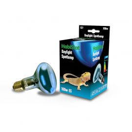 Daglicht & warmtelamp voor het terrarium kopen? HabiStat Daylight Spotlamp 100 Watt | HBD100 | 5027407007147