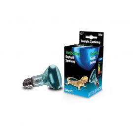 Daglicht & warmtelamp voor het terrarium kopen? HabiStat Daylight Spotlamp, 50 Watt | HBD50 | 5027407014077