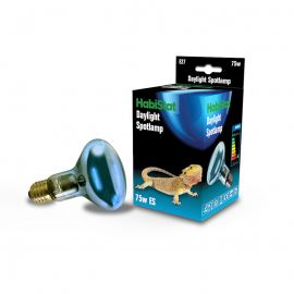 Daglicht & warmtelamp voor het terrarium kopen? HabiStat Daylight Spotlamp 75 Watt | HBD75 | 5027407014084