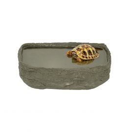 Tortoise Pool, Medium