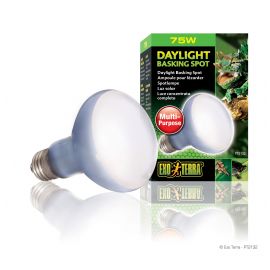 Exo-Terra Daylicht Basking Spot 75 Watt - Terramania