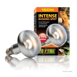 Exo-Terra Intense Basking Spot 150 Watt - Terramania.nl