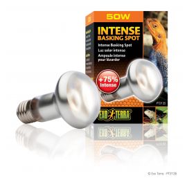 Intense Basking Spot lamp - 50 Watt