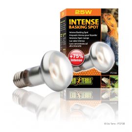 Intense Basking Spot lamp - 25 Watt