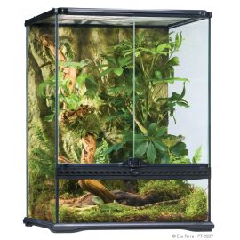 Exo-Terra - Natural Glass Terrarium Small - 45 x 45 x 90 cm | PT2606 | 015561226066