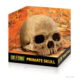 Exo-Terra - Primate Skull - Terramania.nl