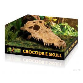 Exo-Terra - Crocodile Skull - Terramania.nl