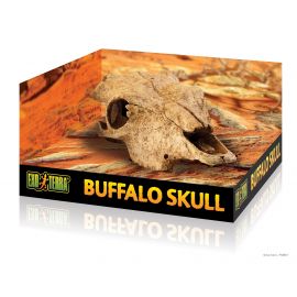 Exo-Terra - Buffalo Skull - Terramania.nl