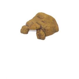 Exo-Terra - Reptile Cave - X-Large | PT2933 | 015561229333