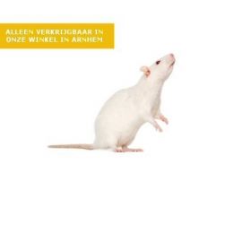 Diepvries - Rat Middel [ 101 - 150 gram]