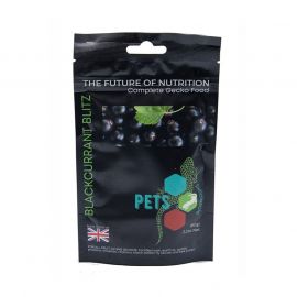 Pets2Wholesale Gecko Diet Blackcurrant Blitz (60g), 0796167648291, GDBCUR60