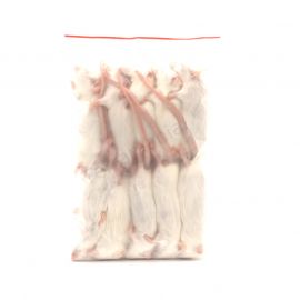 Volwassen Muis (23-30 gram) - 10 stuks - Diepvries