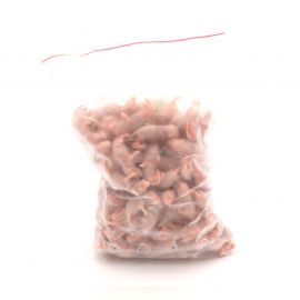 Pinky Muis (klein, 1-2g ), 100 stuks - Diepvries