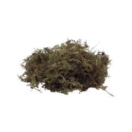 Dragon Forest Mos (3-Pack) 5L, 4038501013256, NH-12
