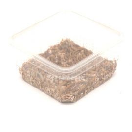 Meelwormen - 50 gram