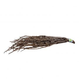 Dragon Coconut branches, 50-70cm, 4038501010125, DRA253