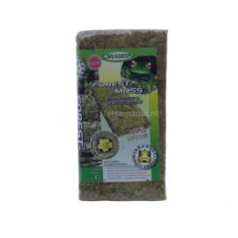 Forest Moss 5L