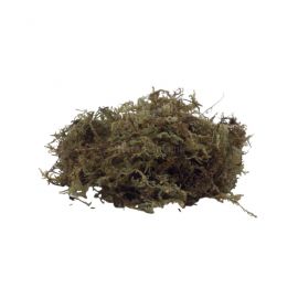 Forest Moss 5L
