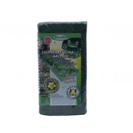 Green Sphagnum Moss 5L