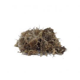 Dragon Sphagnum Moss, Mini-baal, 1,5 Liter, 4038501009891, NM-60